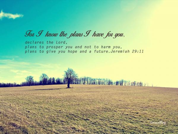 Plans for You