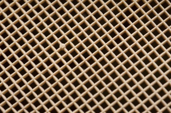 Plastic grid