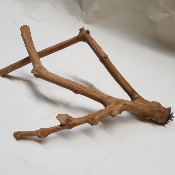 Play of branches