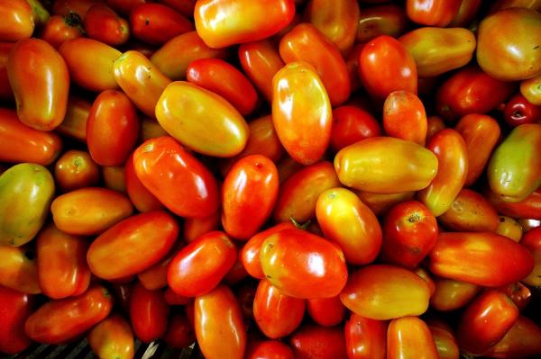 Plum Tomatoes