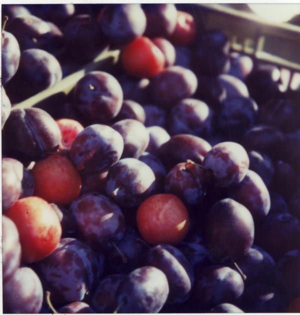 Plums