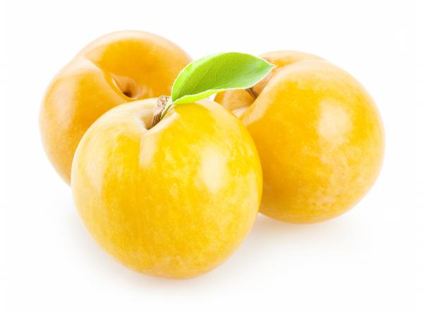 Plums isolated on white background
