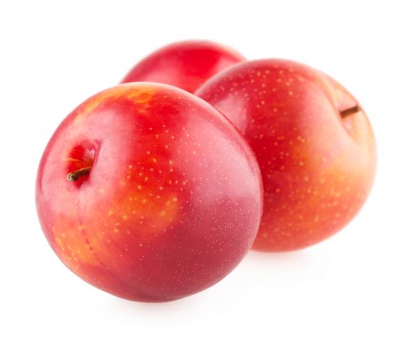 Plums isolated on white background