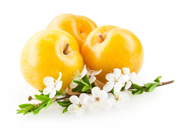 Plums isolated on white background