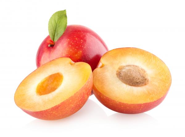 Plums isolated on white background