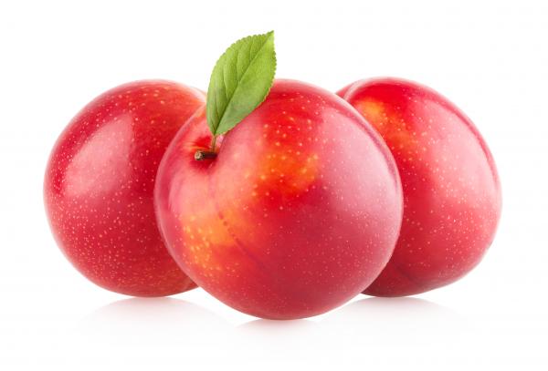 Plums isolated on white background