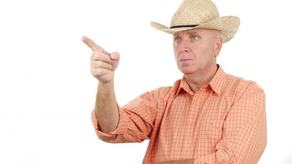 Pointing