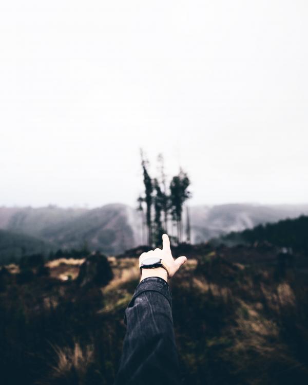 Pointing at the Landscape