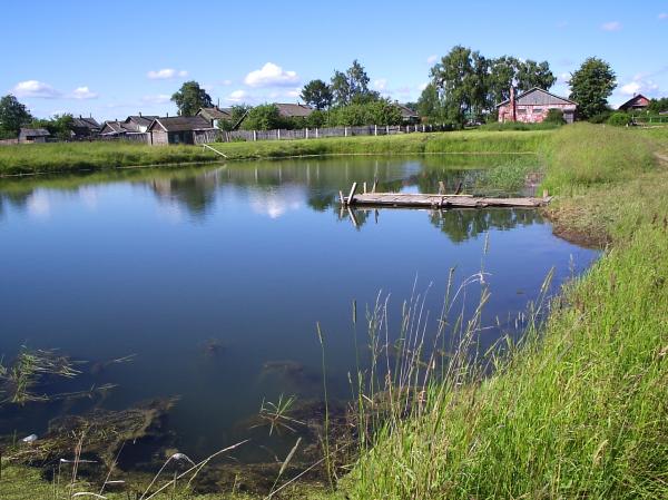 Pond