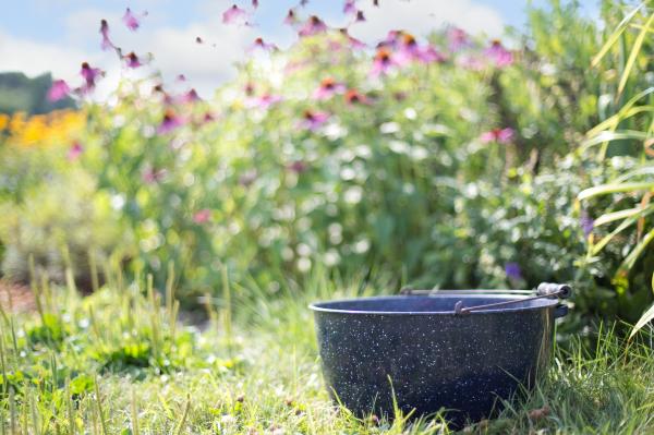 Pottery in the Garden