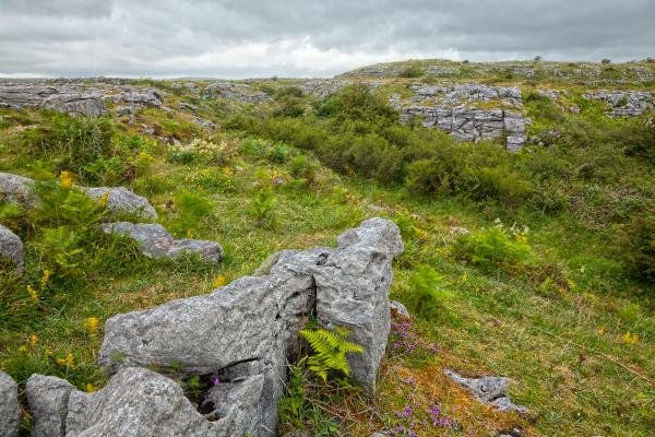 Poulnabrone Landscape - HDR