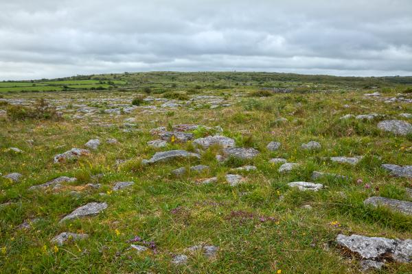 Poulnabrone Landscape - HDR