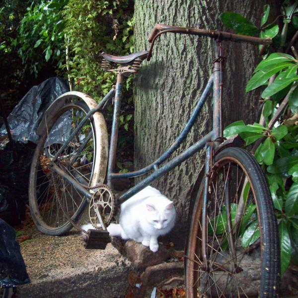 Pre war SOMME Bicyclette - Somme Cycle W