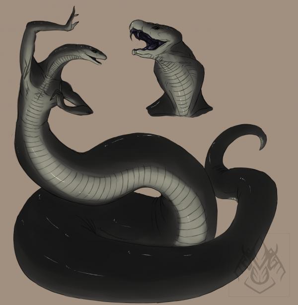 Pretty Snake