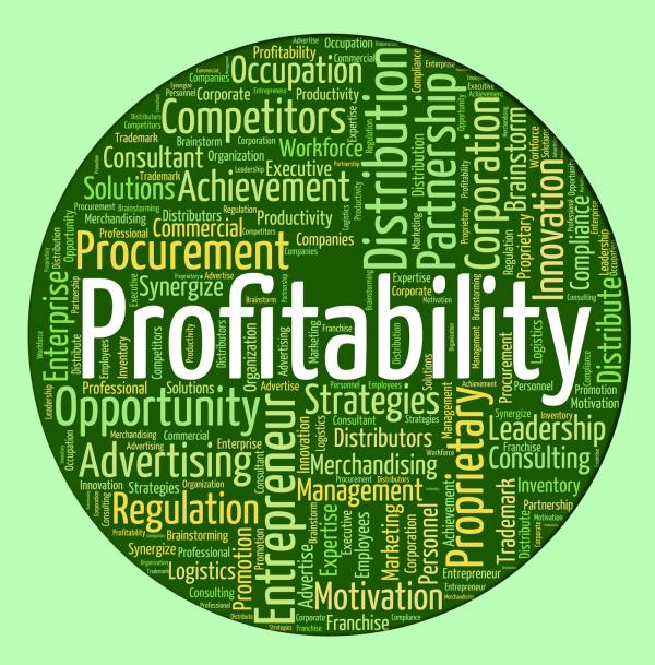 Profitability Word Indicates Bottom Line And Payback