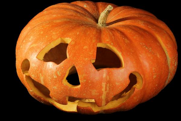 pumpkin