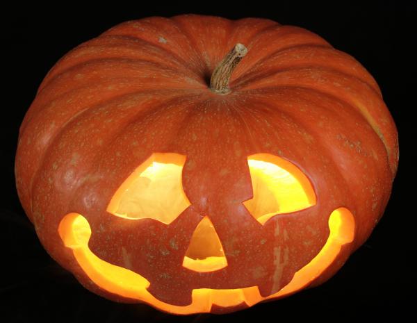 pumpkin