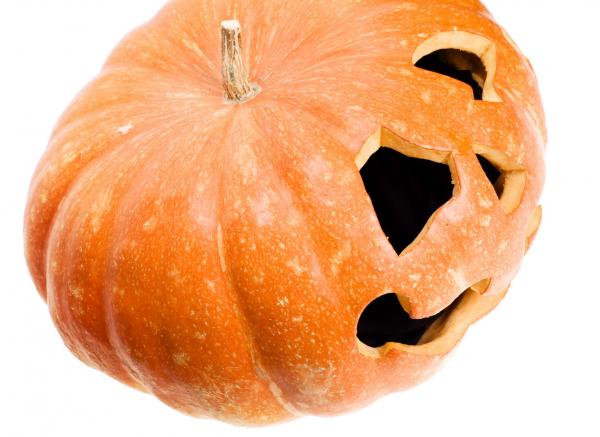 pumpkin