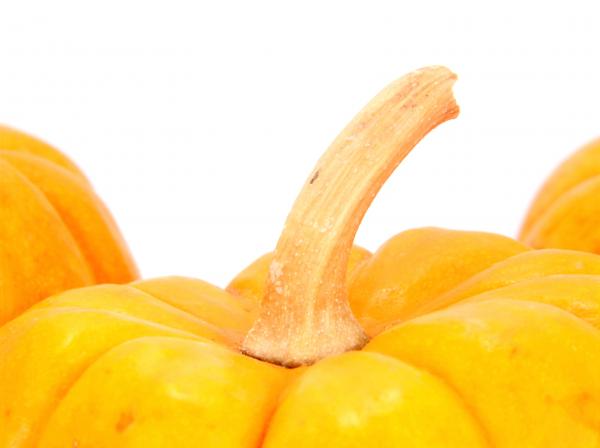 Pumpkin