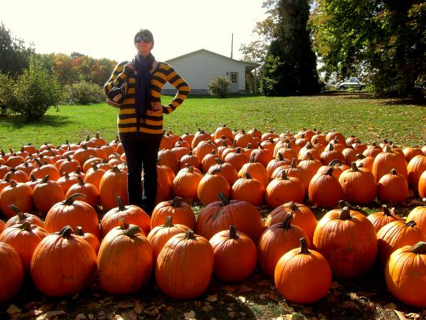 Pumpkin Field