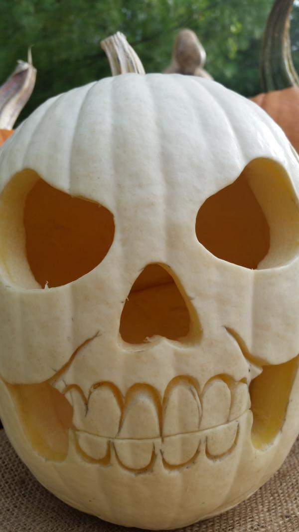 Pumpkin on white