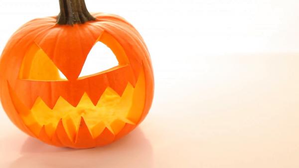 Pumpkin on white