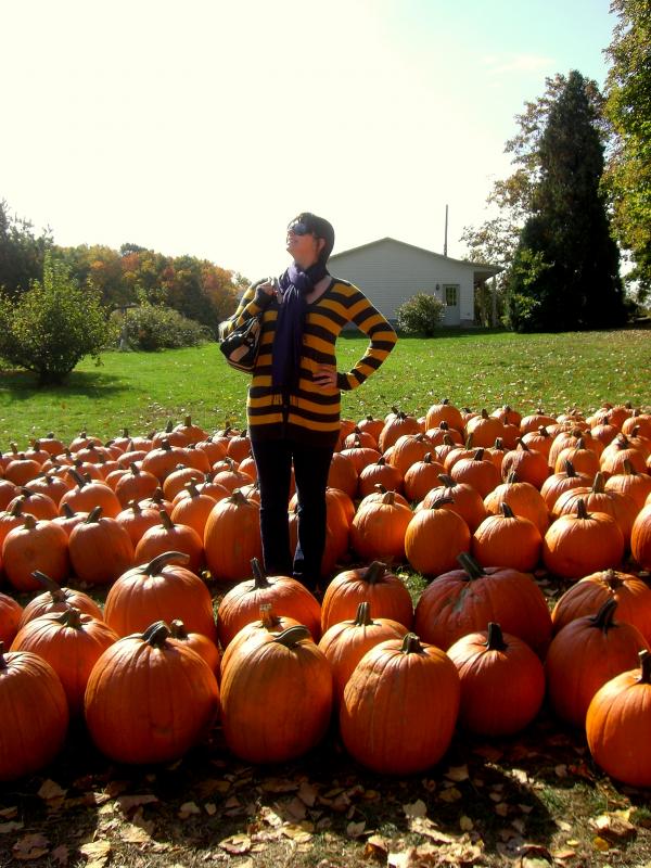 Pumpkin Patch