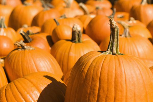 Pumpkins