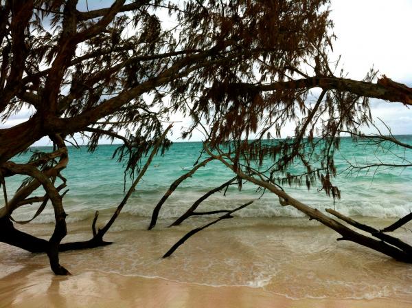 Punta Cana