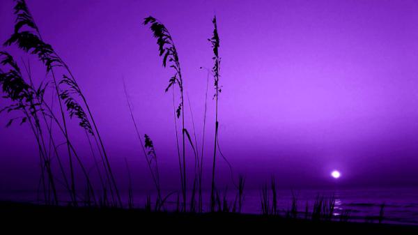 Purple feeeling