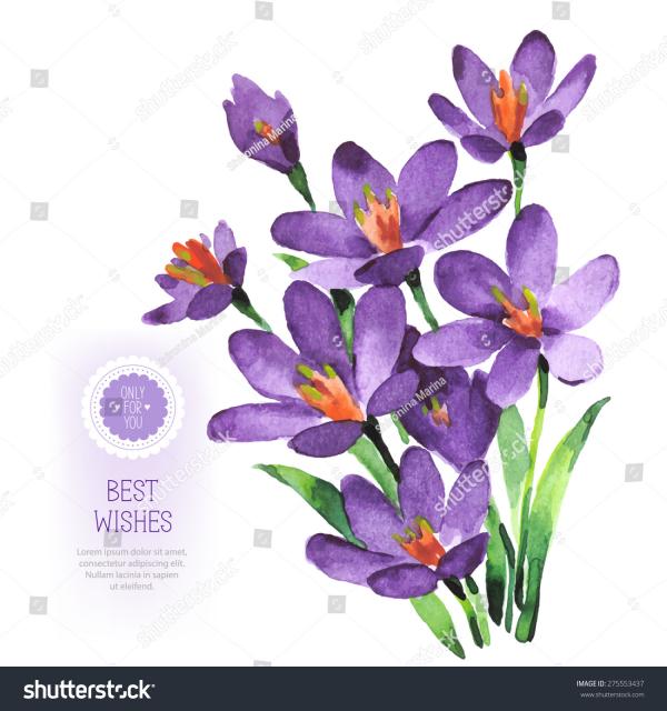 Purple flower