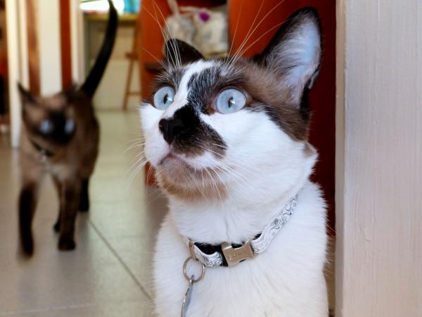 "Did I hear dinner time?"