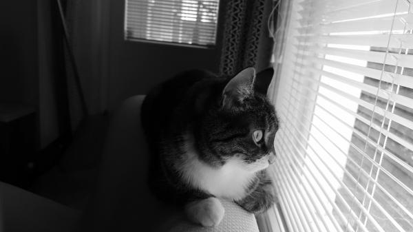 "I wonder when they're coming back..."