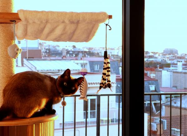 "Oh, good morning."