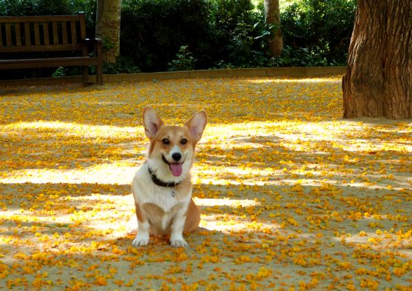 "This park rocks, mom!"