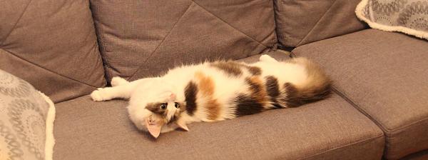 "What do yo mean get off YOUR sofa..?"