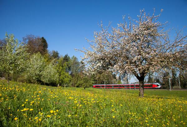 RABe 526 unterwegs bei Mörschwil