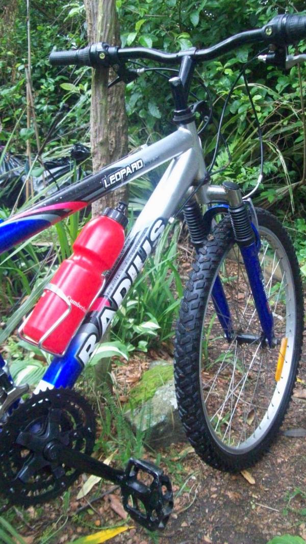 Radius bike at Roberts Park