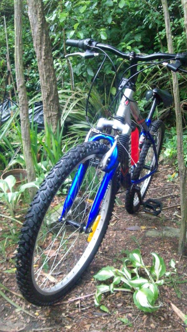 Radius bike at Roberts Park