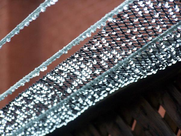 Rain Drops on Clothes Line