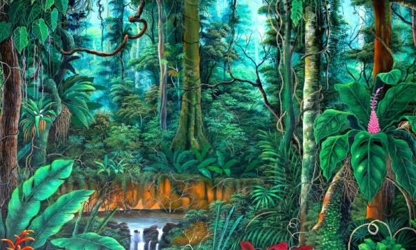 Rain Forest