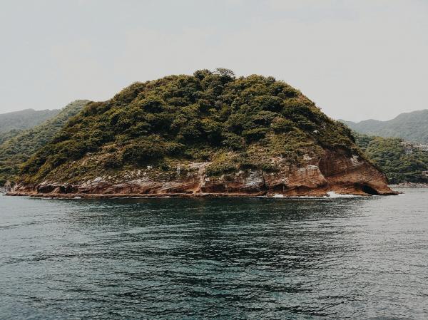 Rainforest Island