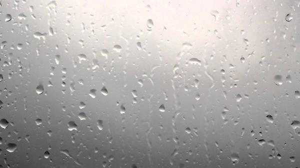 Rainy window