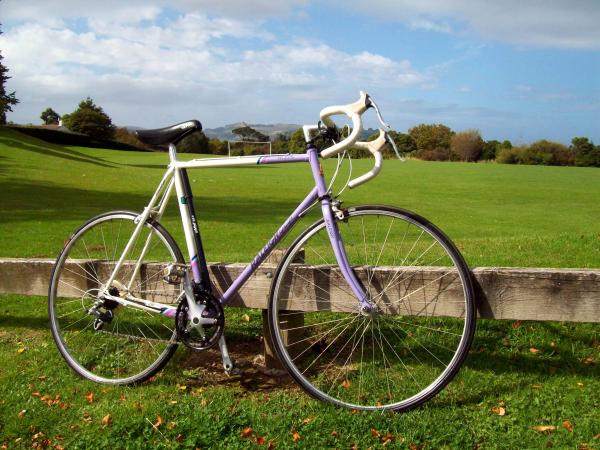Raleigh Lightweight Trilite