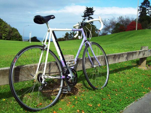 Raleigh Lightweight_ Trilite