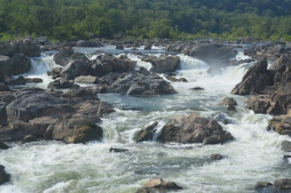 Rapids