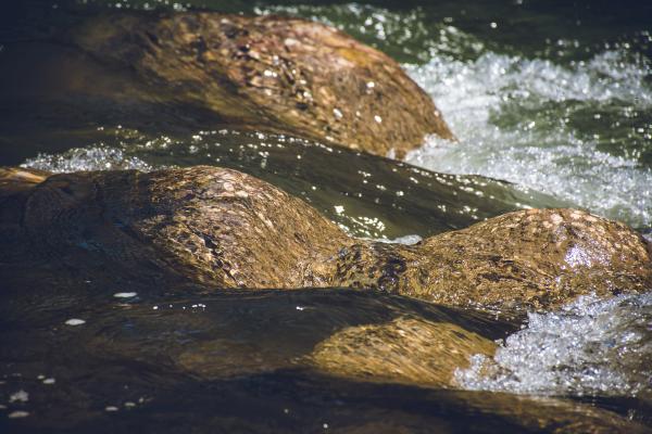 Rapids at Noon
