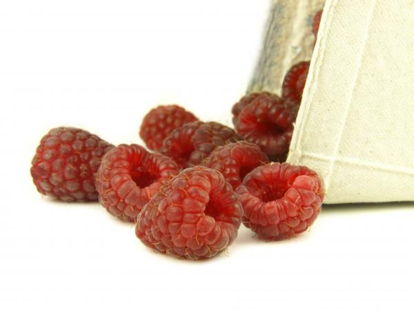 Raspberry in zoom