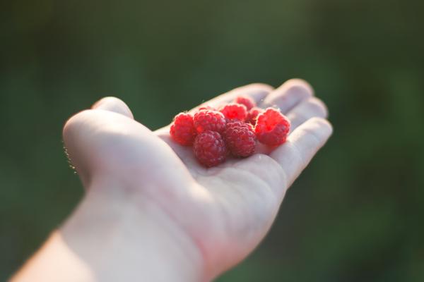 Raspberry