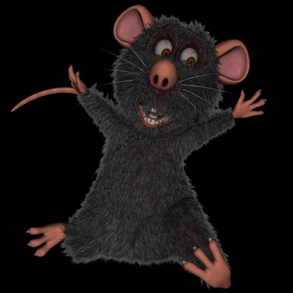 Rat